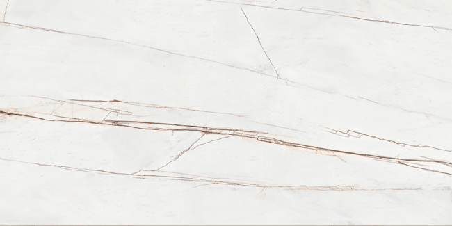 اسلب پرسلان AURIGA BONE